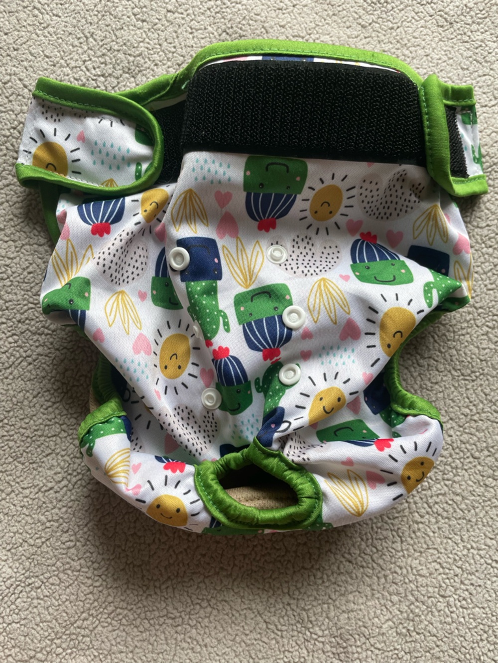 Reusable Green & White Cat Diaper w/ Built-in Insert Cactus & Sun Large